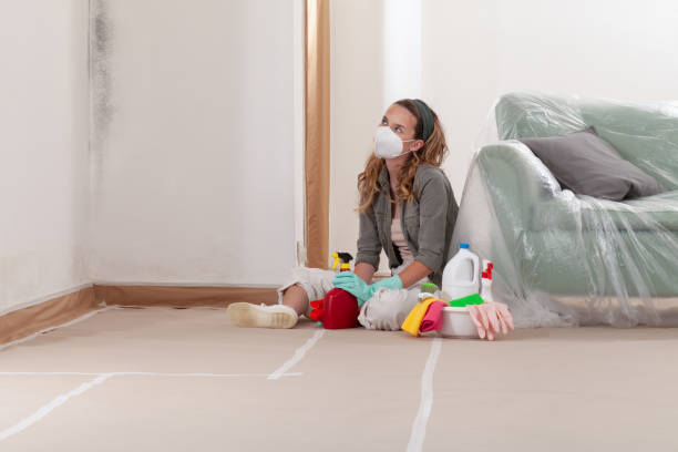 Reliable Mold Inspection And Testing contractor in North East, MD by Mold Remediation HQ